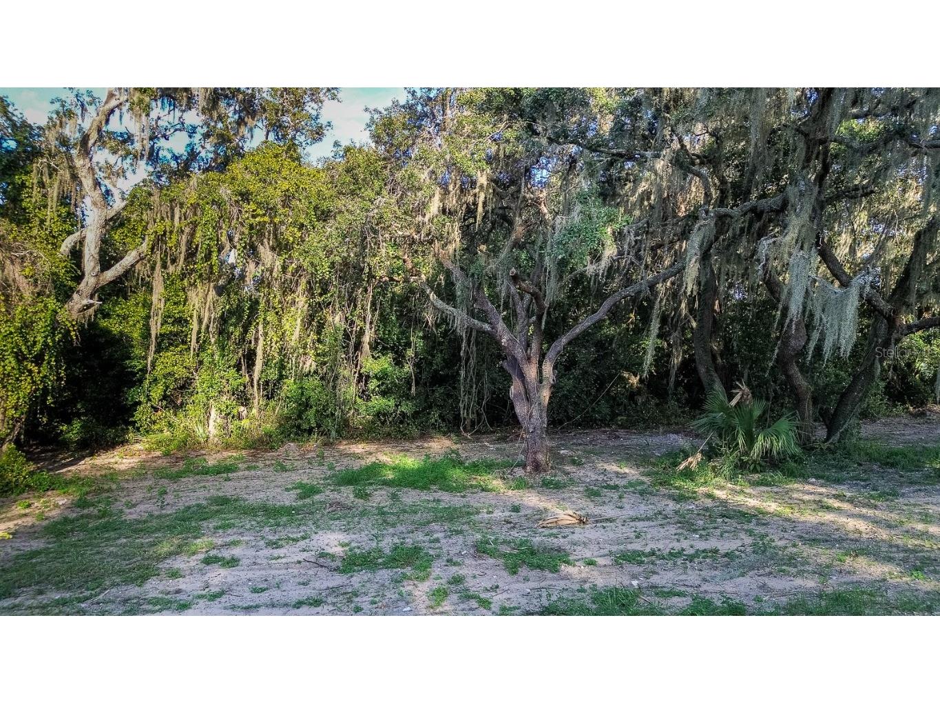 12 Holly Hill Drive Davenport FL 33837 P4932197 image12