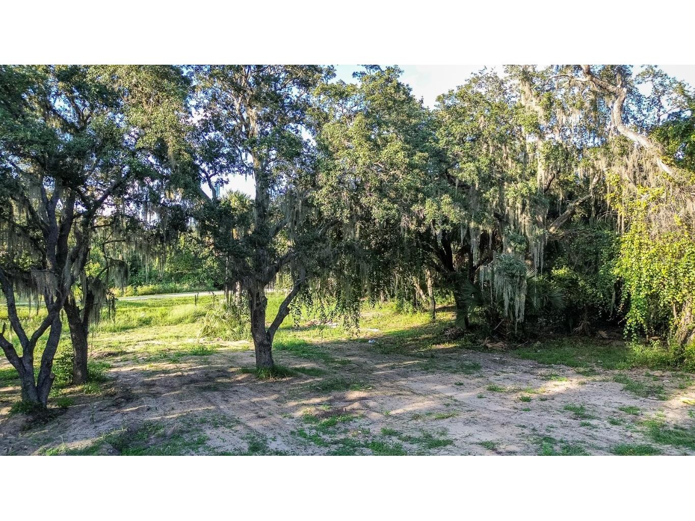 12 Holly Hill Drive Davenport FL 33837 P4932197 image13