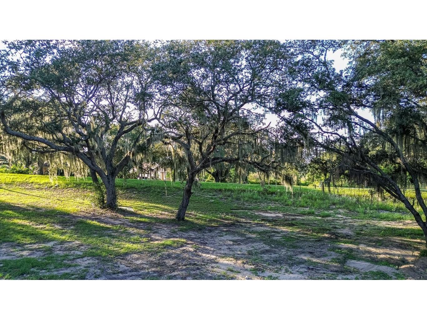 12 Holly Hill Drive Davenport FL 33837 P4932197 image14