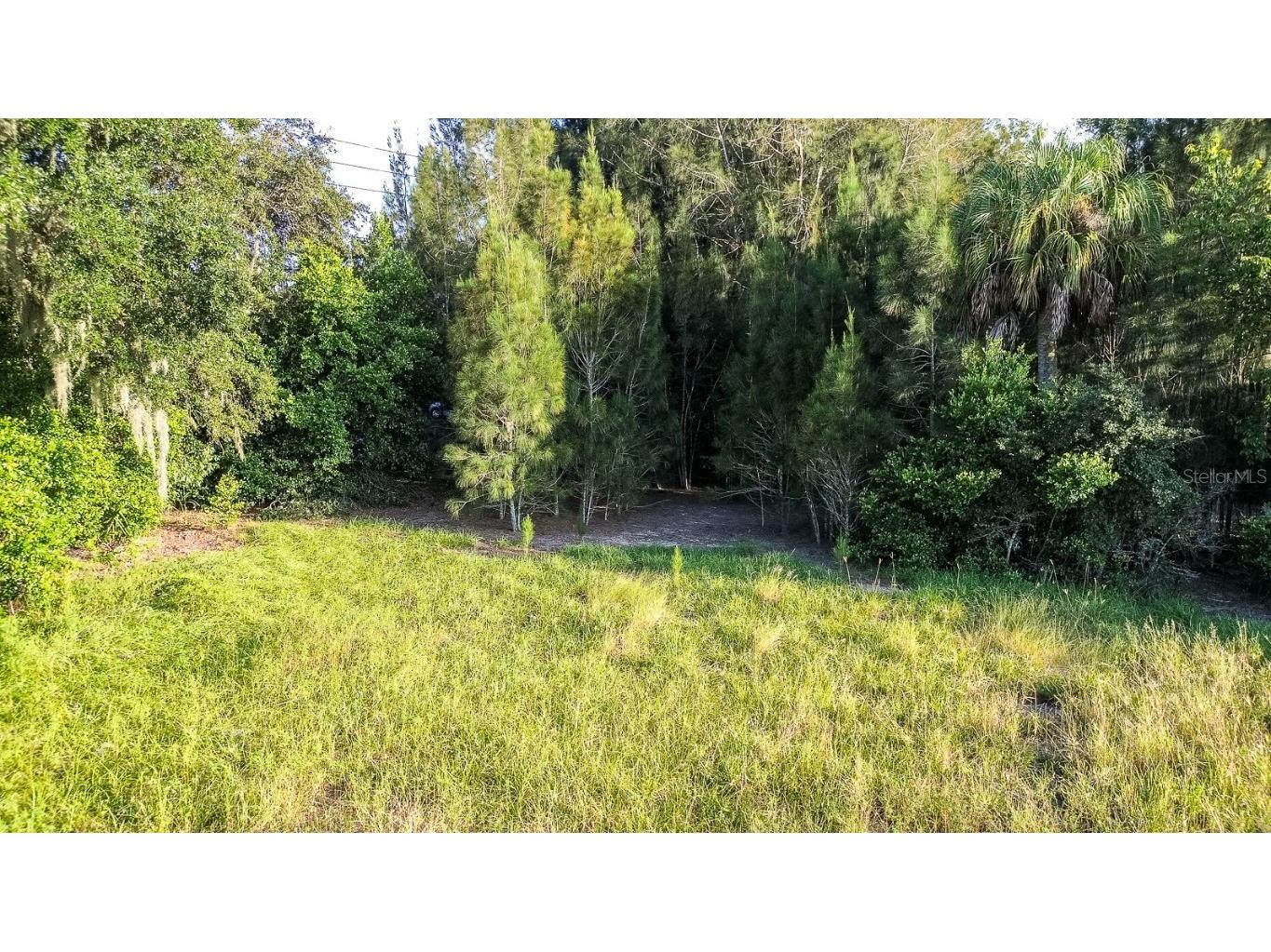 12 Holly Hill Drive Davenport FL 33837 P4932197 image17