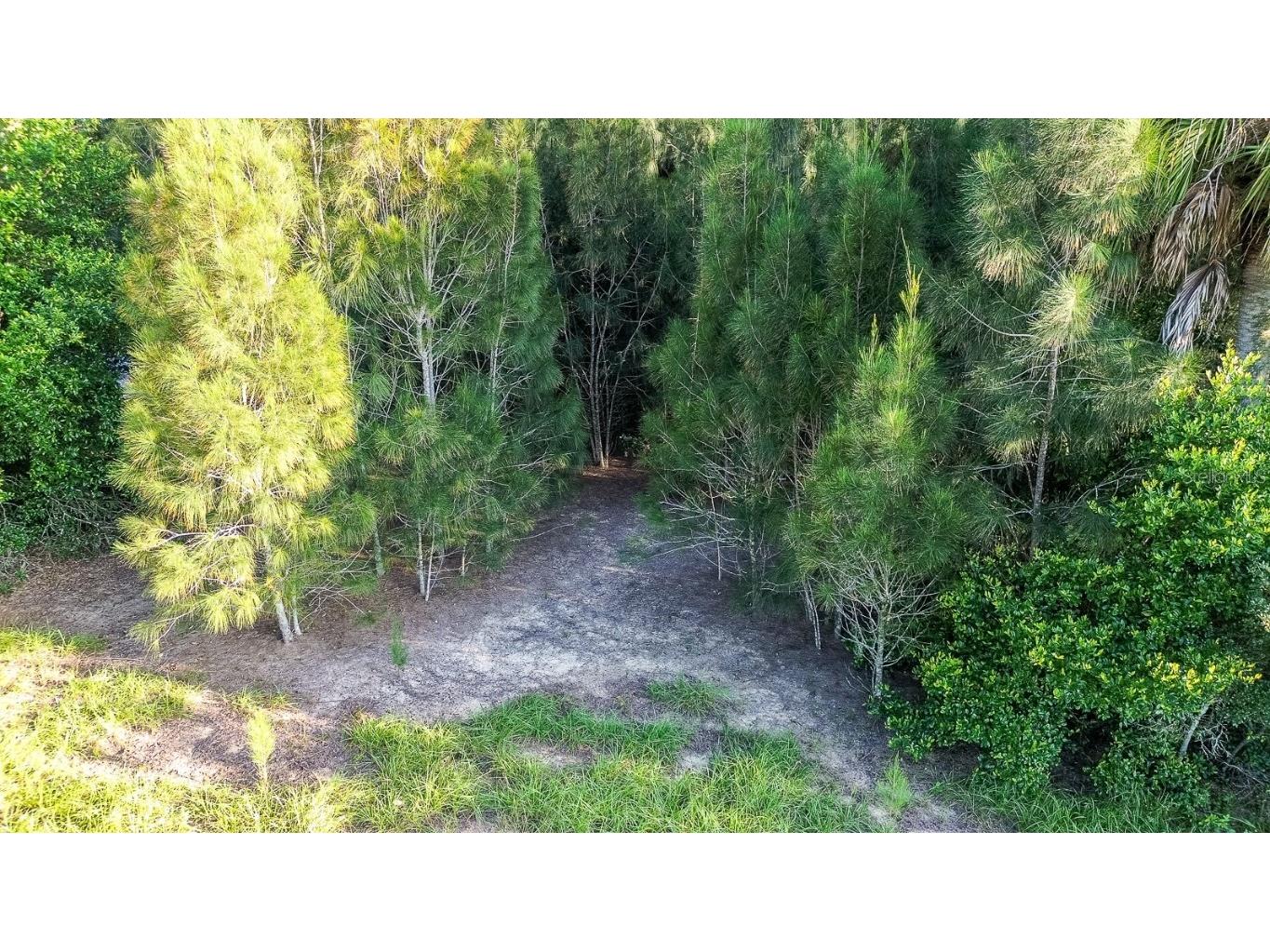 12 Holly Hill Drive Davenport FL 33837 P4932197 image18