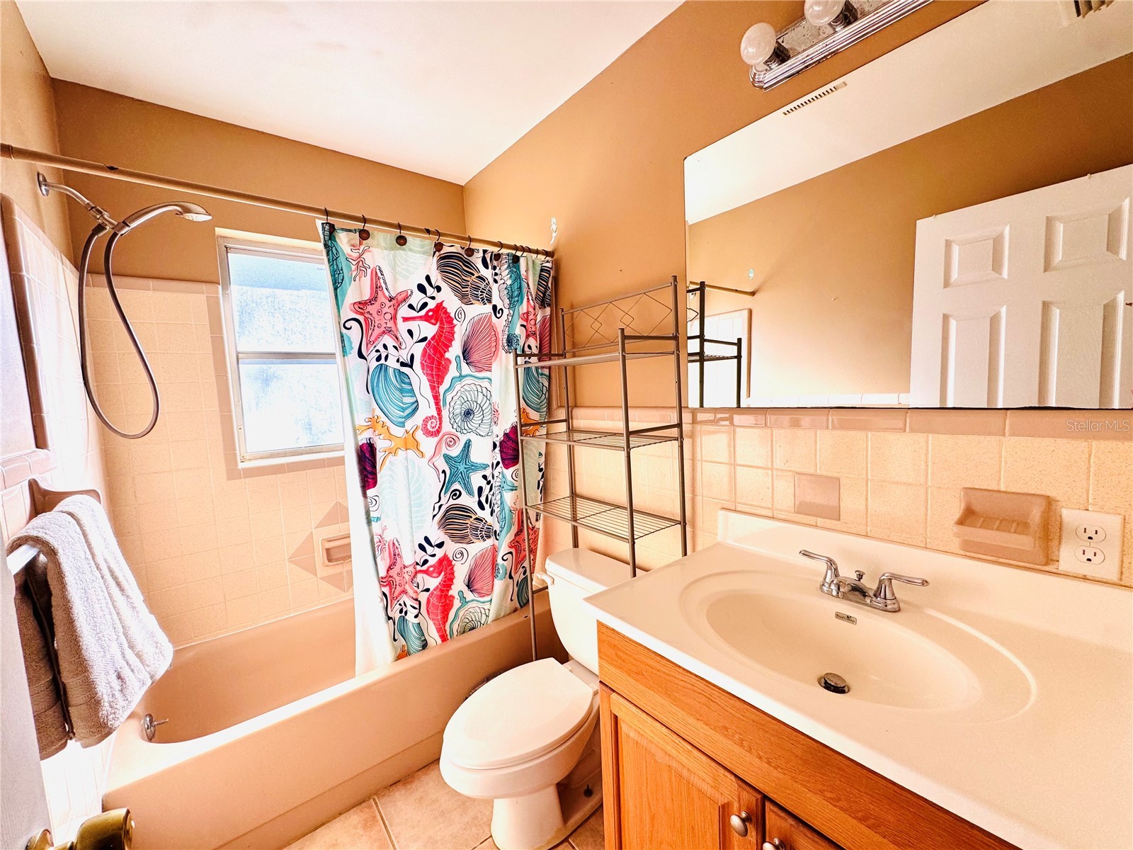 12 Lake Shore Drive Palm Harbor FL 34684 TB8473911 image16
