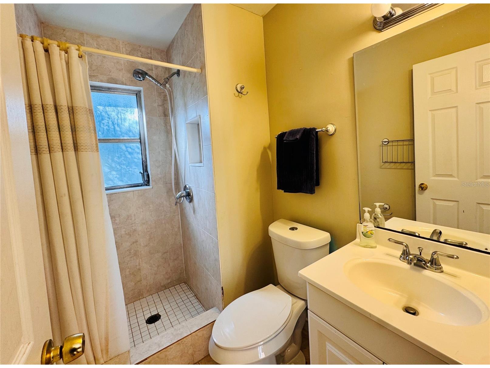 12 Lake Shore Drive Palm Harbor FL 34684 TB8473911 image18