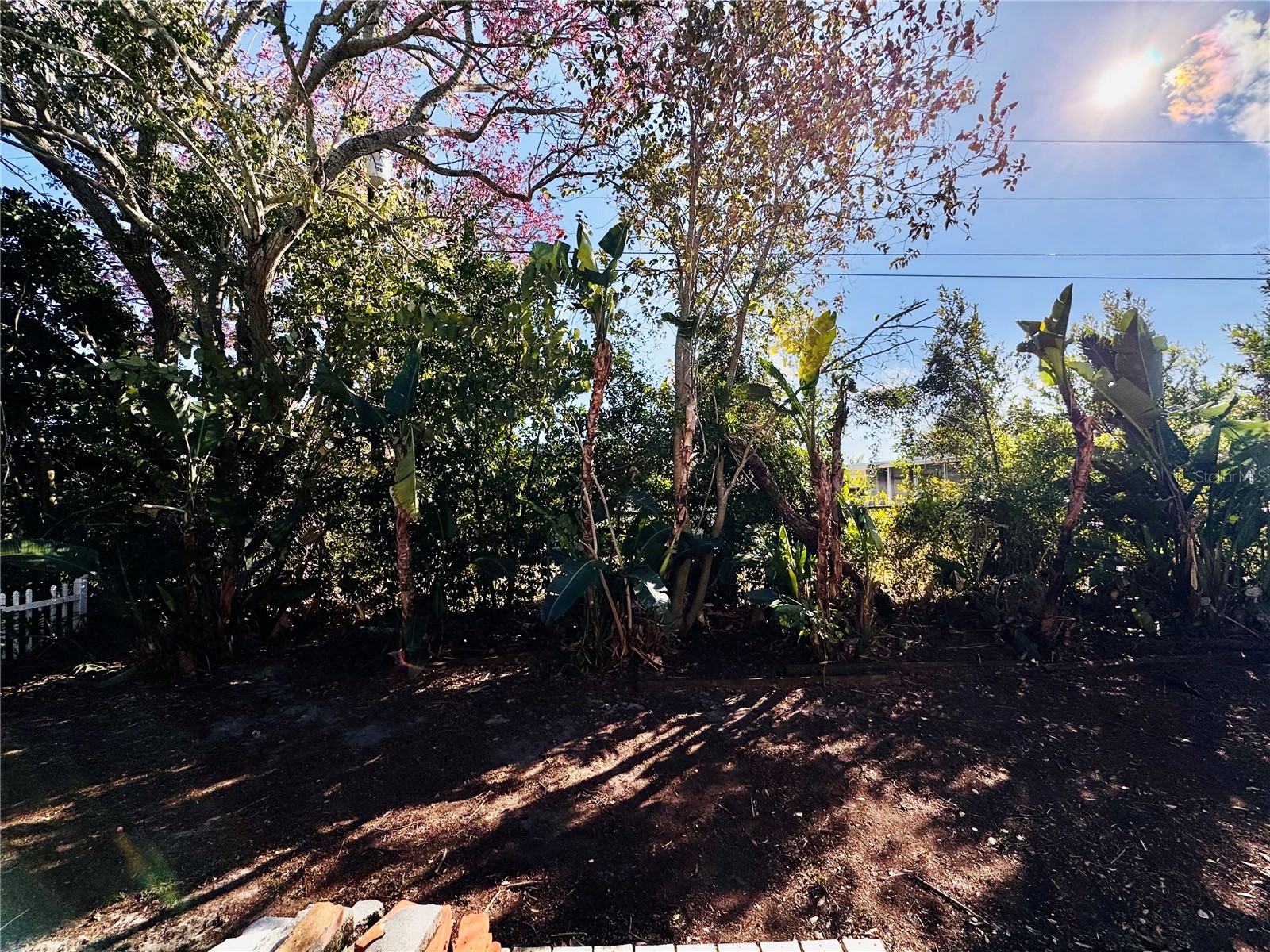 12 Lake Shore Drive Palm Harbor FL 34684 TB8473911 image4