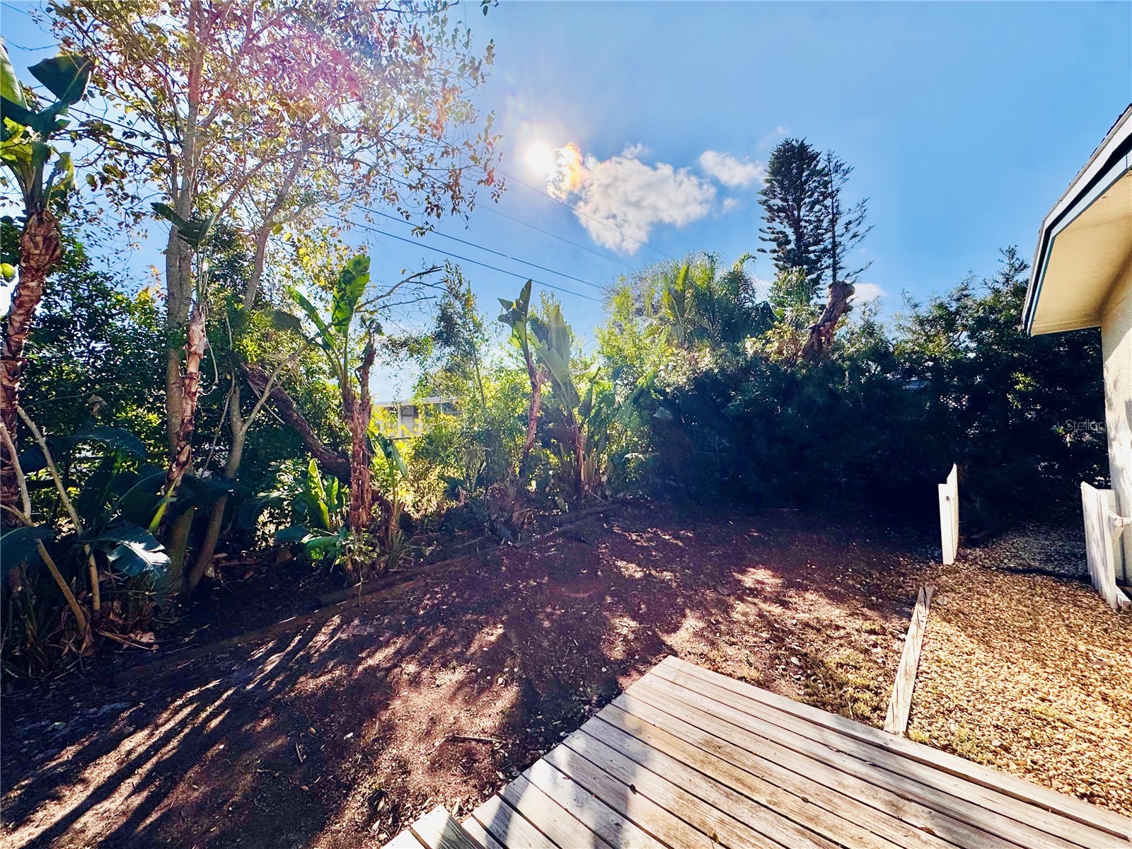 12 Lake Shore Drive Palm Harbor FL 34684 TB8473911 image5