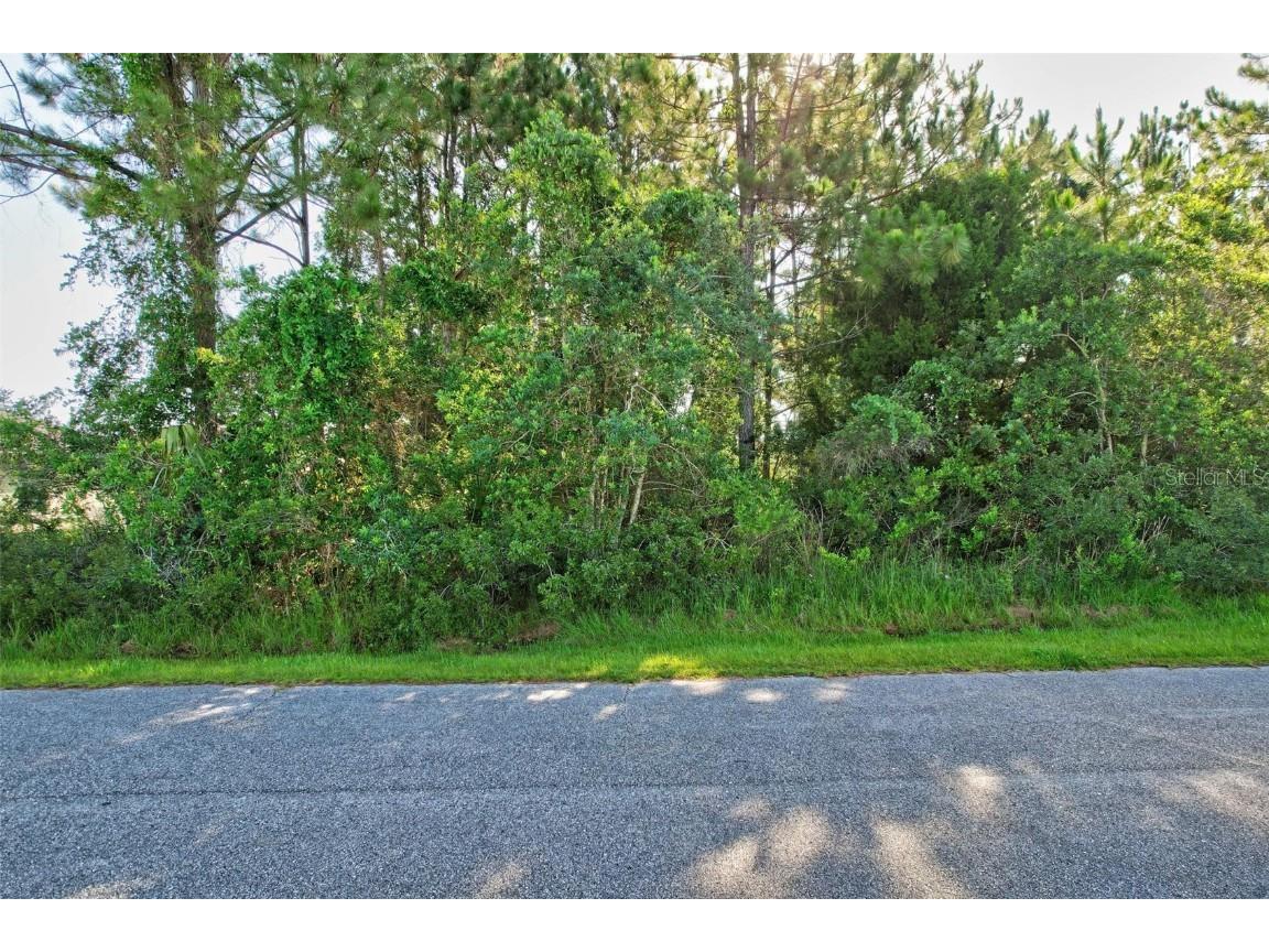 12 Lansing Lane Palm Coast FL 32137 FC293078 image1