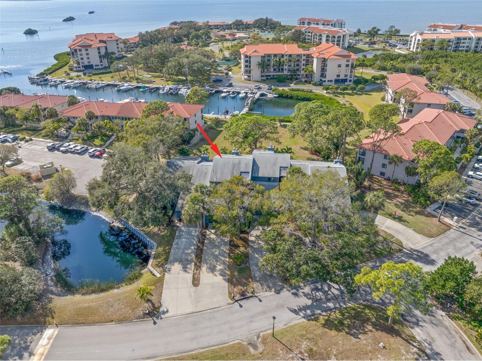 12 Mariner Drive Tarpon Springs FL 34689 TB8465438 image53