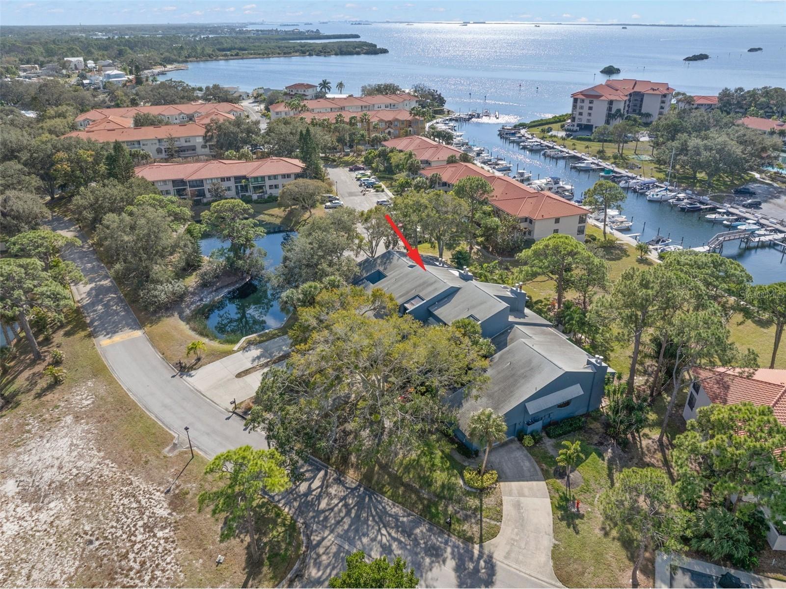 12 Mariner Drive Tarpon Springs FL 34689 TB8465438 image54