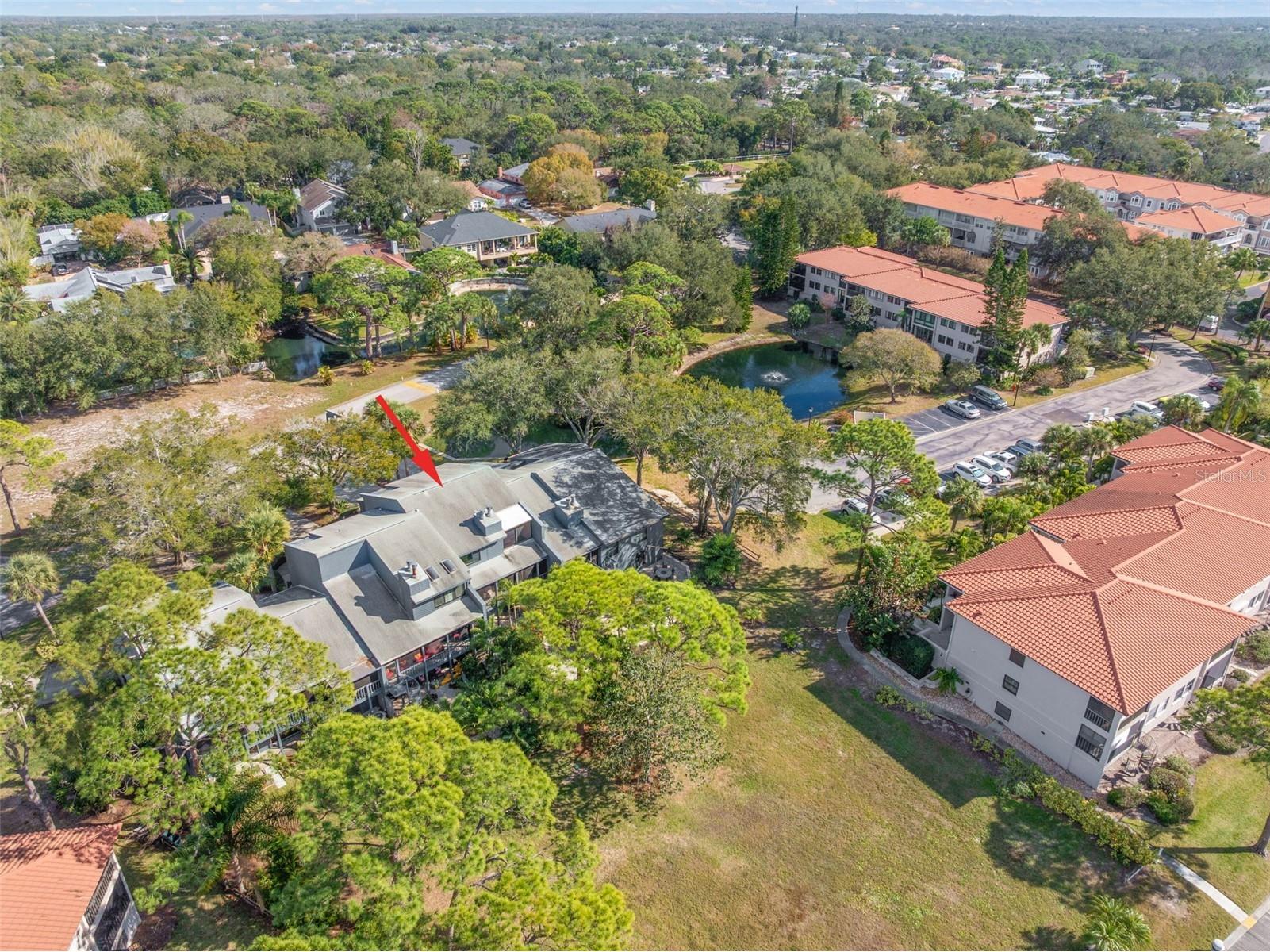 12 Mariner Drive Tarpon Springs FL 34689 TB8465438 image56