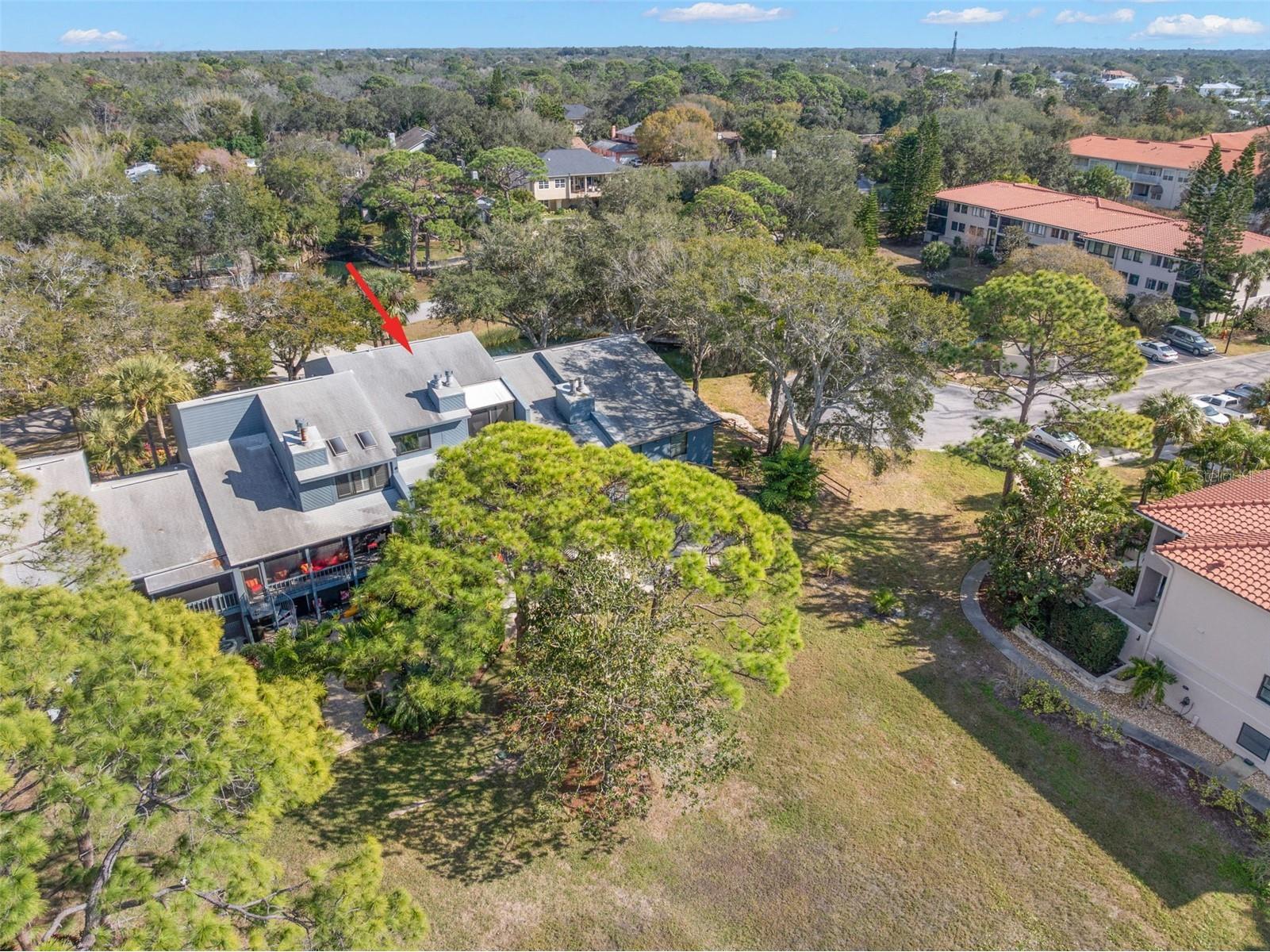 12 Mariner Drive Tarpon Springs FL 34689 TB8465438 image58