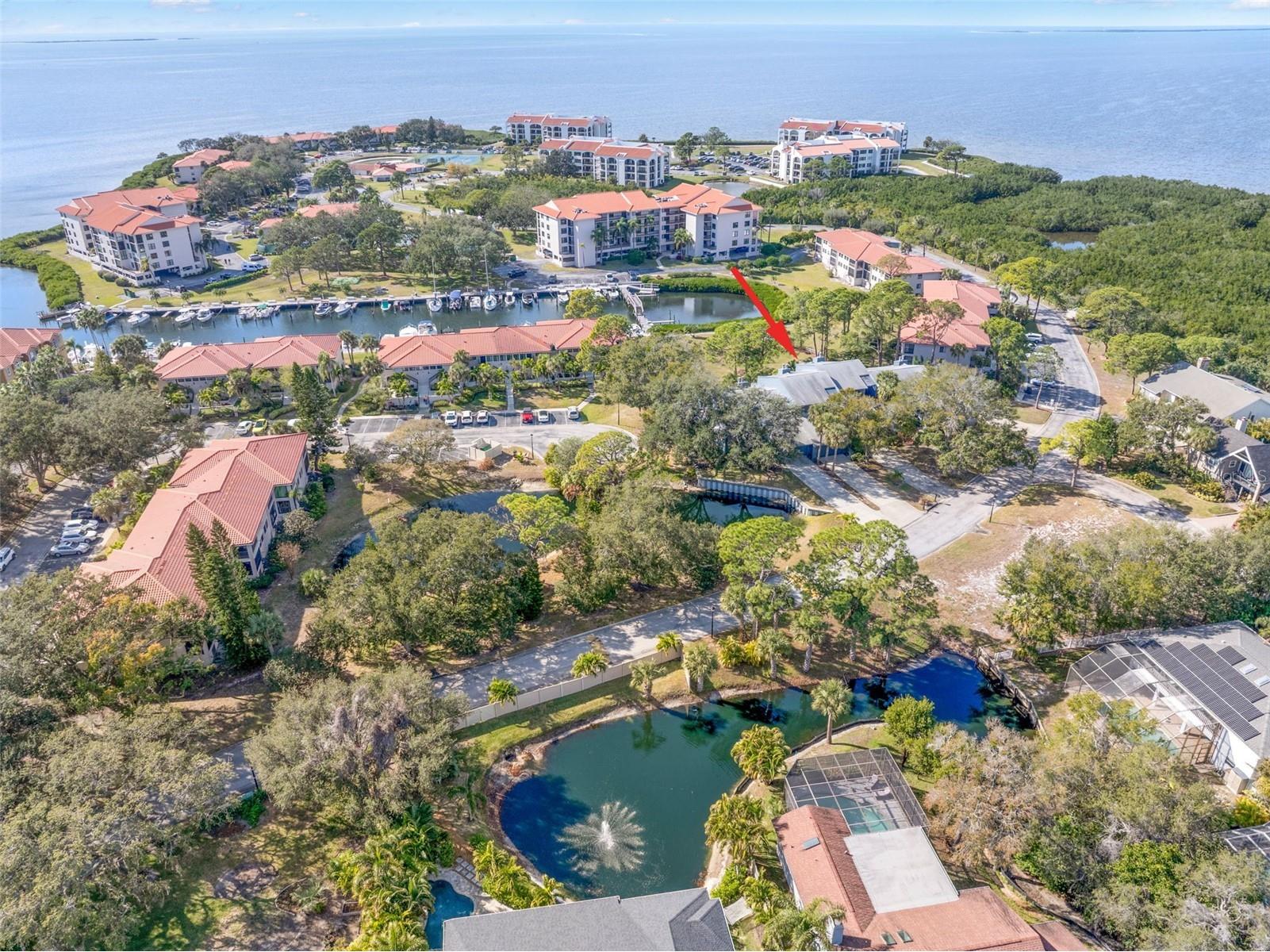 12 Mariner Drive Tarpon Springs FL 34689 TB8465438 image59