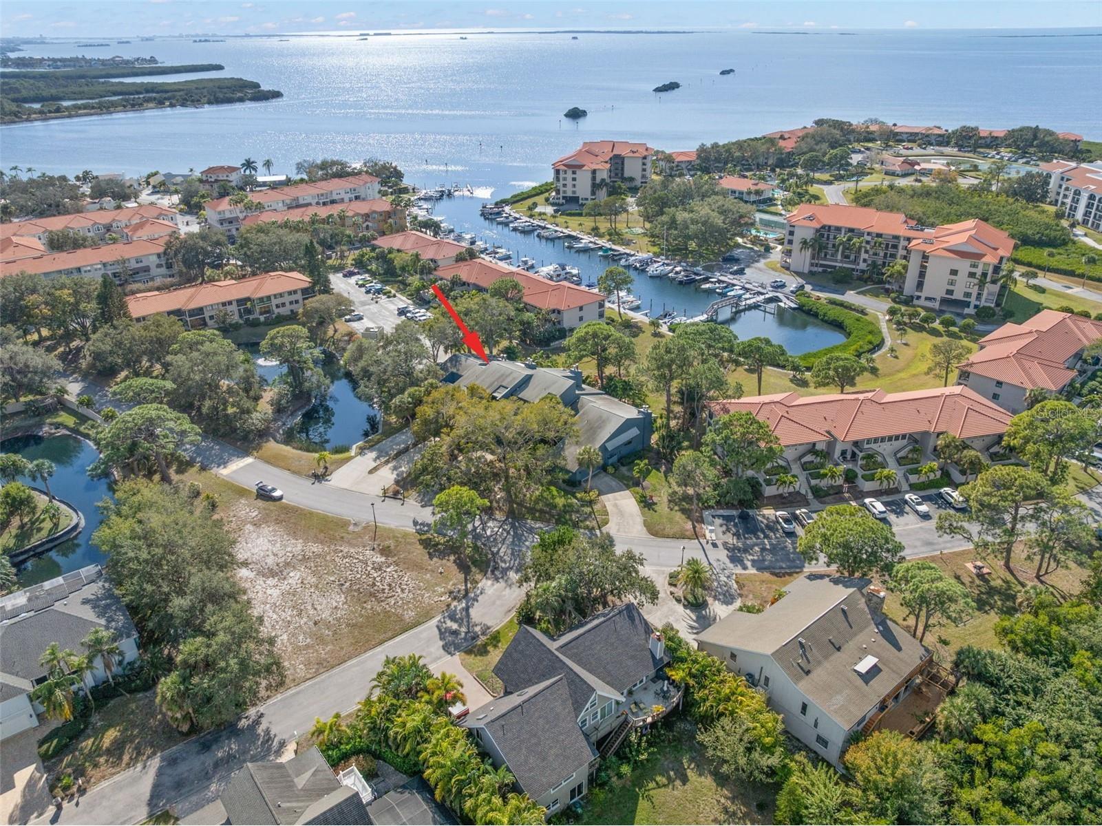 12 Mariner Drive Tarpon Springs FL 34689 TB8465438 image60