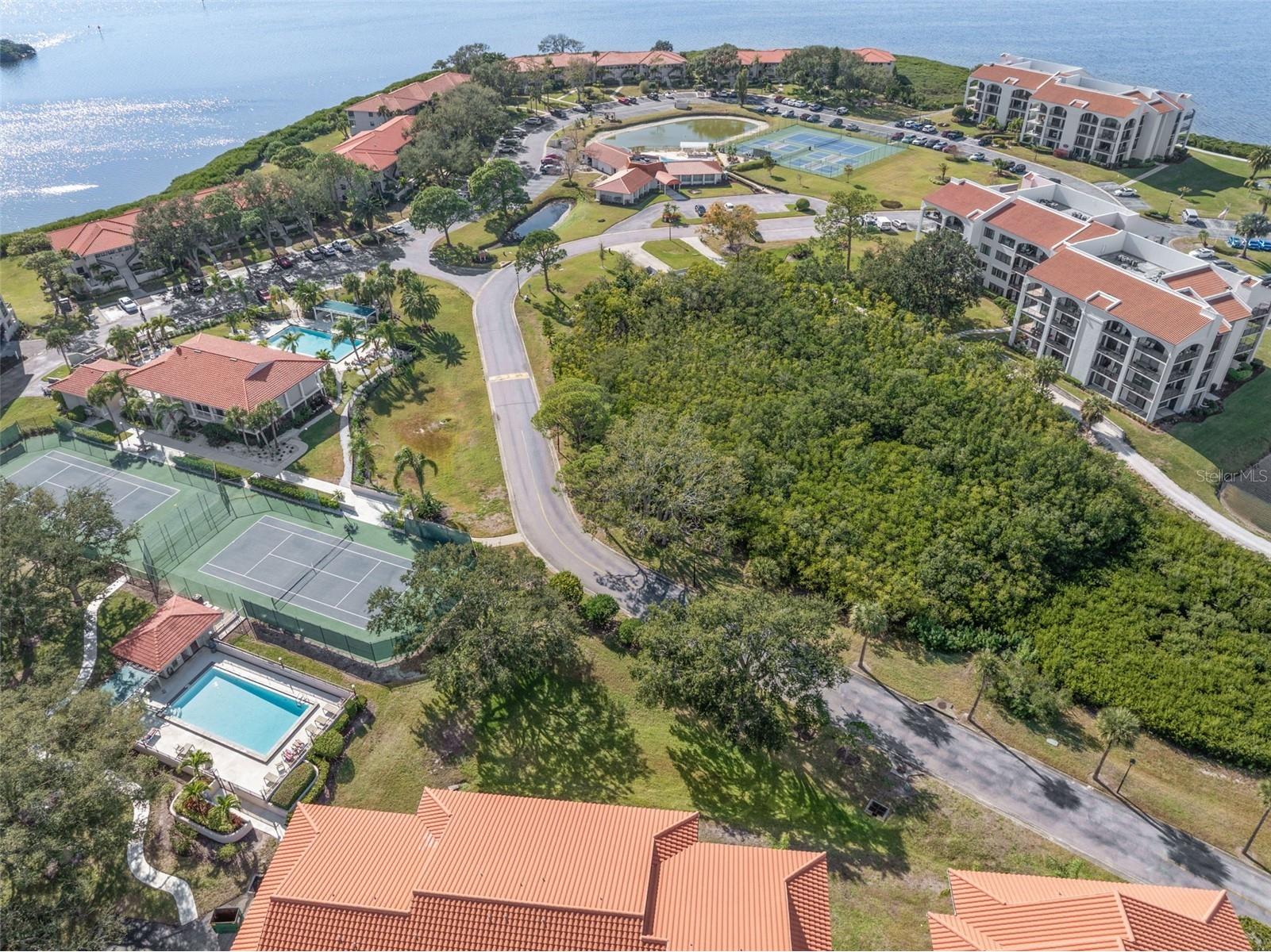 12 Mariner Drive Tarpon Springs FL 34689 TB8465438 image61