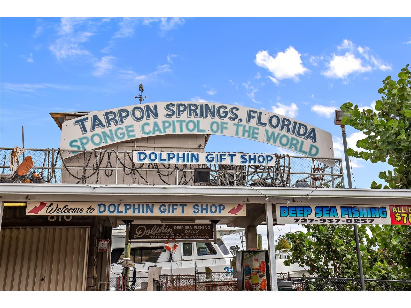 12 Mariner Drive Tarpon Springs FL 34689 TB8465438 image81