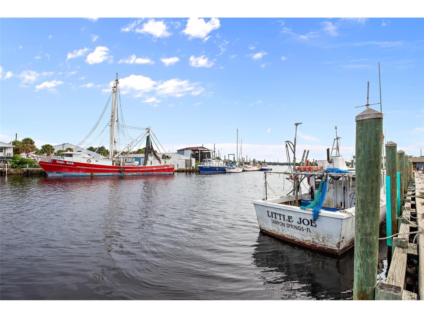 12 Mariner Drive Tarpon Springs FL 34689 TB8465438 image86