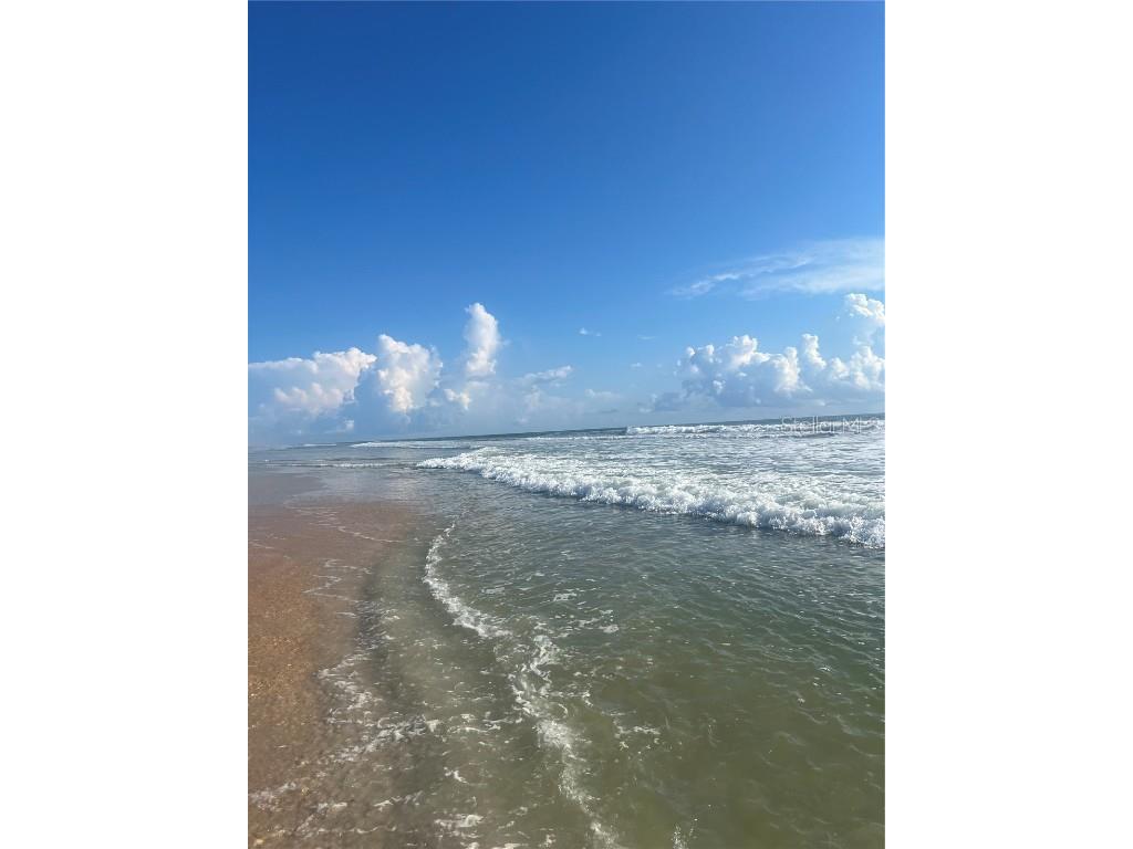 12 Moody Drive Palm Coast FL 32137 FC314404 image42