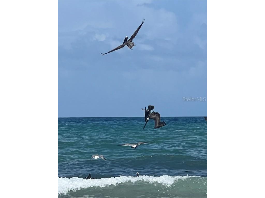 12 Moody Drive Palm Coast FL 32137 FC314404 image49