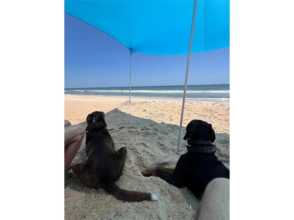 12 Moody Drive Palm Coast FL 32137 FC314404 image50