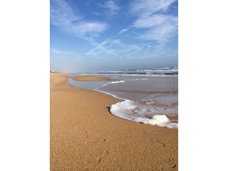 12 Moody Drive Palm Coast FL 32137 FC314404 image51