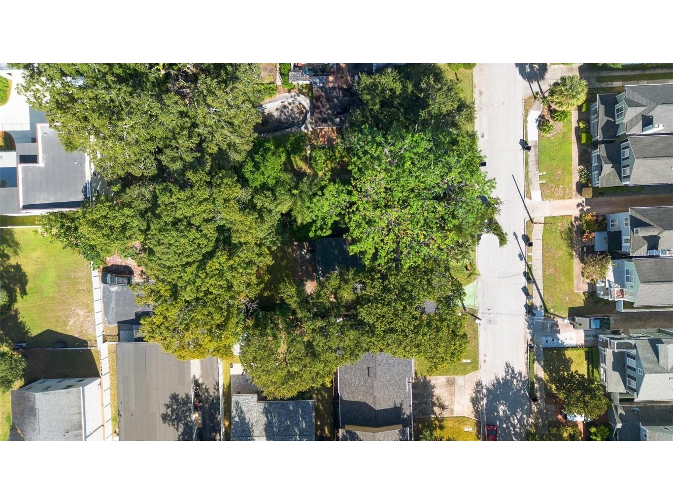 12 N Forest Avenue Orlando FL 32803 S5138358 image34