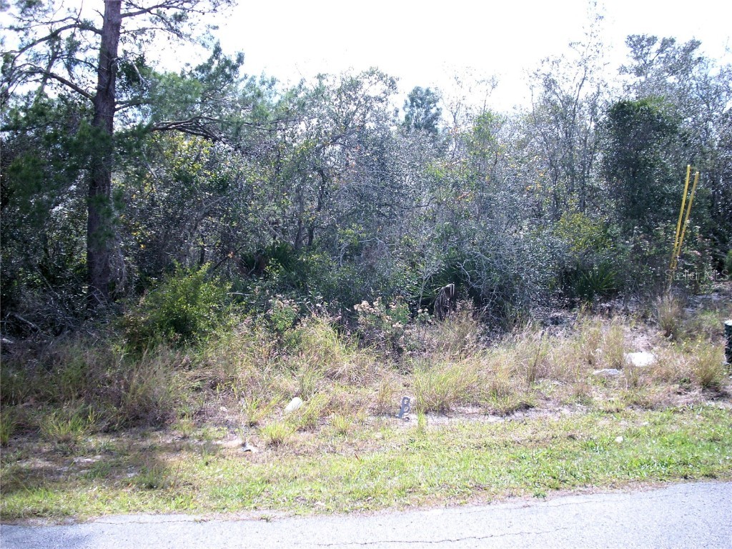 12 Orchid Court Poinciana FL 34759 S5098938 image1