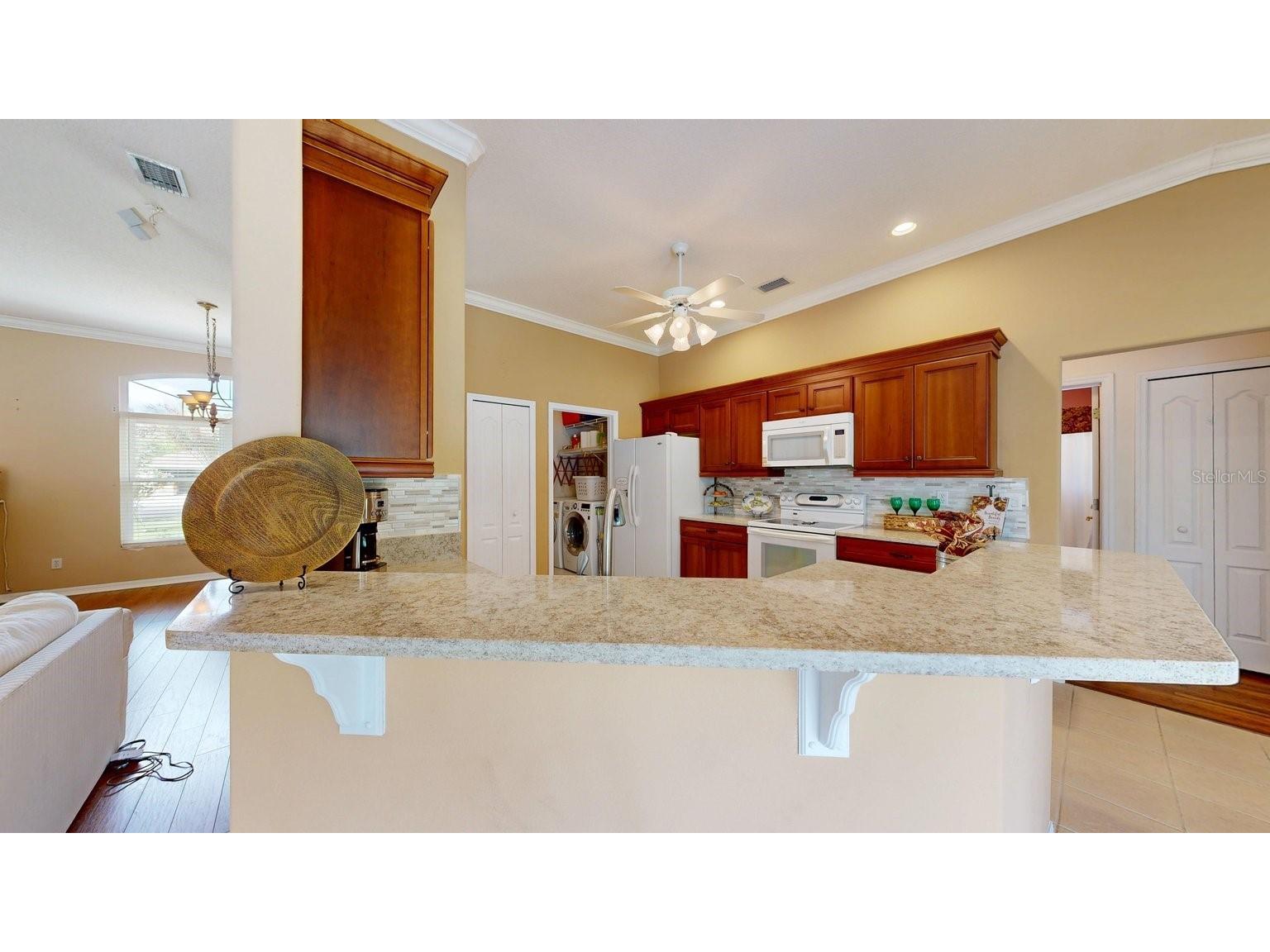 12 Ormond Green Boulevard Ormond Beach FL 32174 FC317184 image23