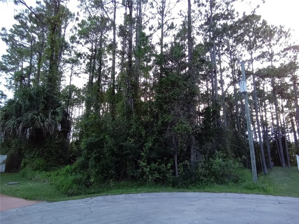 12 Radius Place Palm Coast FL 32164 OM681895 image1