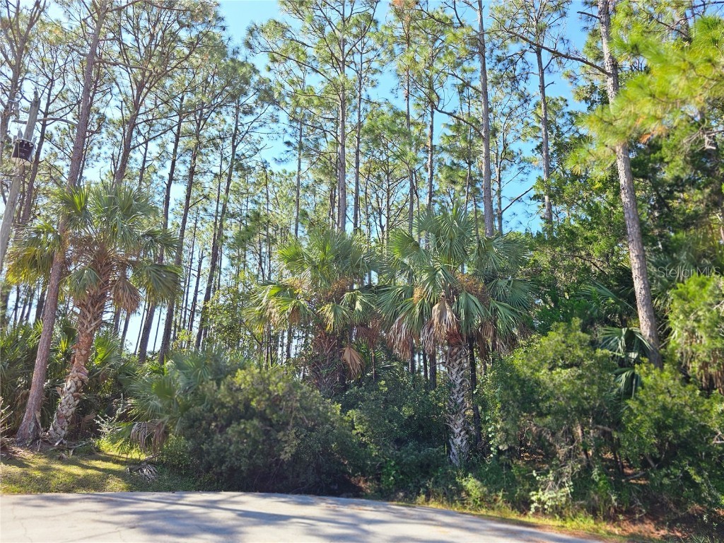 12 Ramsgate Place Palm Coast FL 32164 FC313876 image2