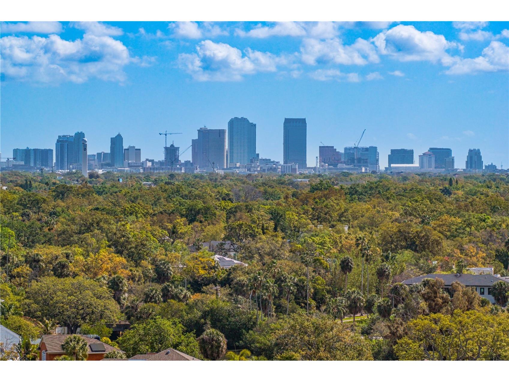 12 S Treasure Drive Tampa FL 33609 TB8486774 image87