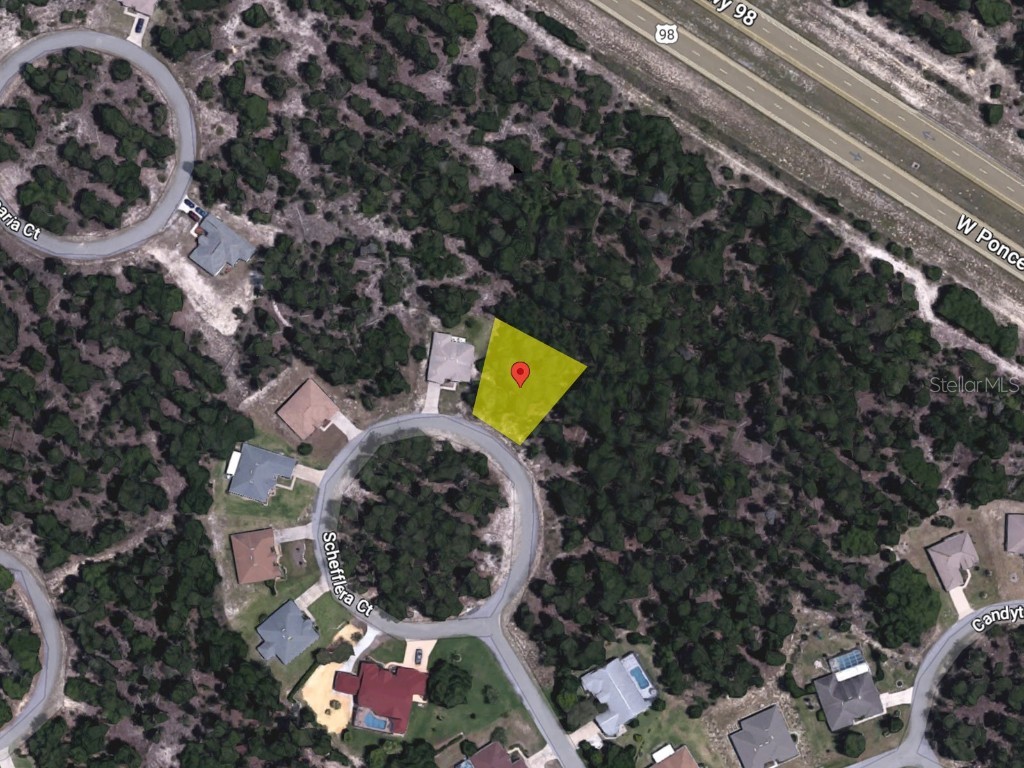 12 Schefflera Court Homosassa FL 34446 O6108577 image1