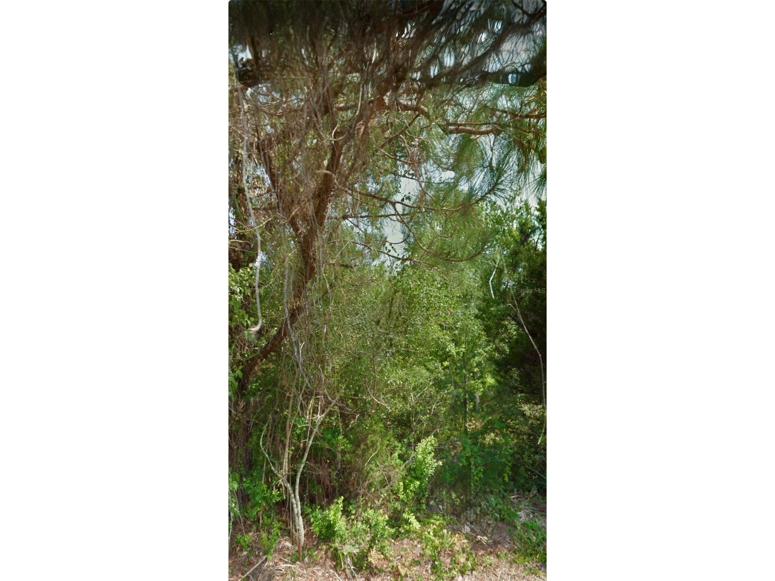 12 Selma Trail Palm Coast FL 32164 FC315638 image2