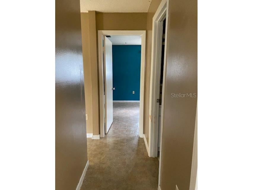 12 Spring Loop Ocala FL 34472 W7885287 image10