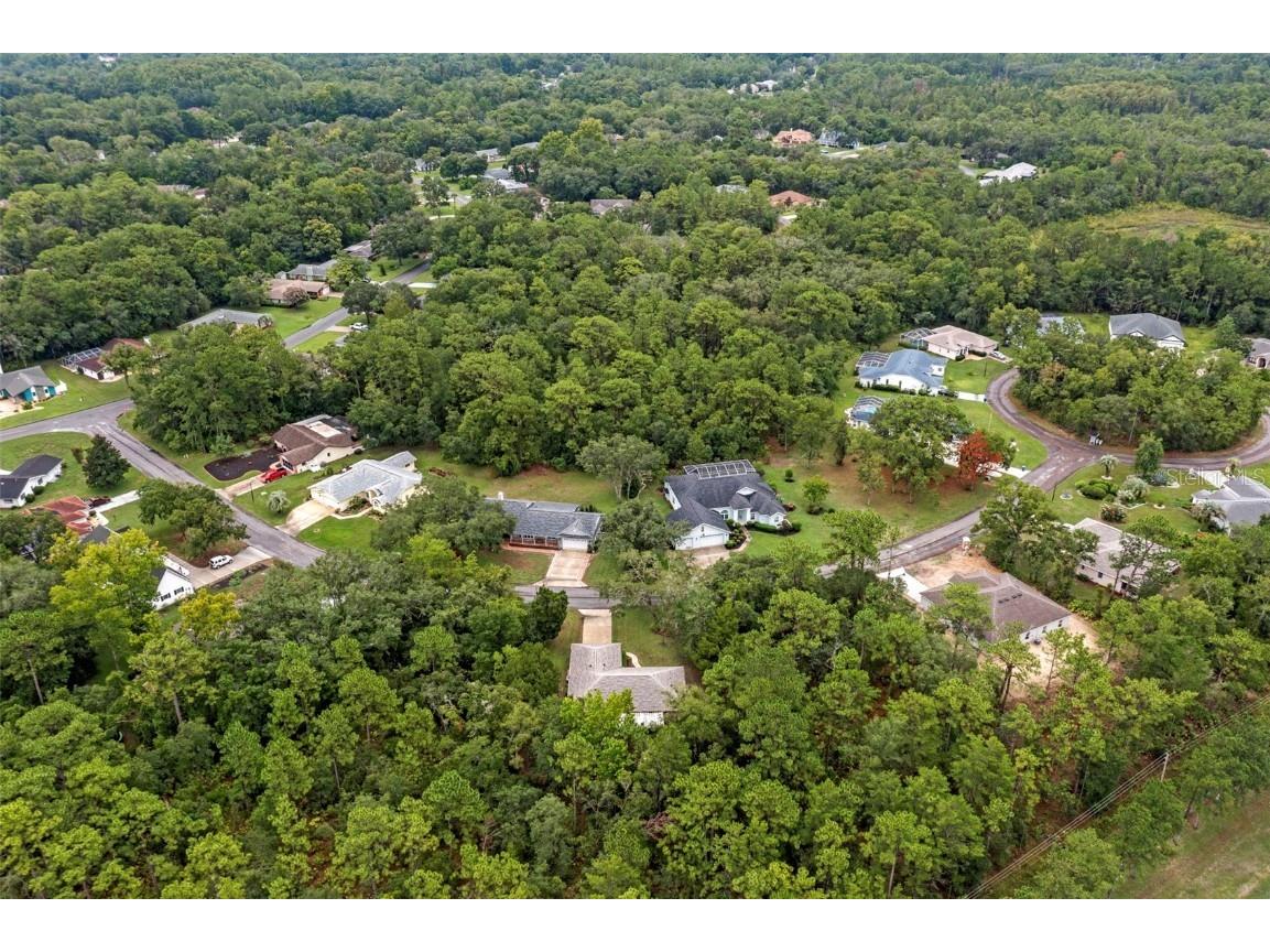 12 Sycamore Court W Homosassa FL 34446 OM706208 image30