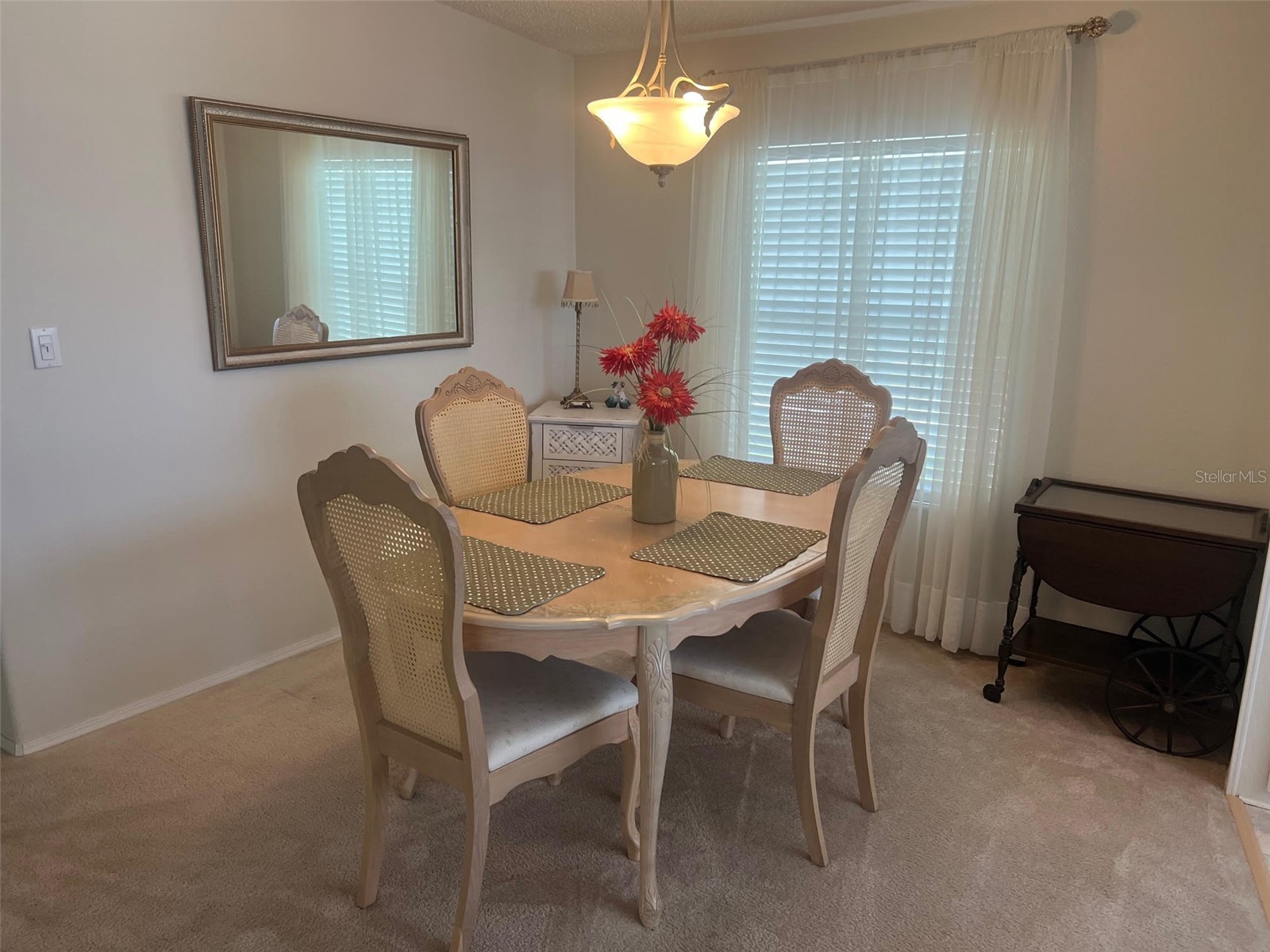 12 Thatch Palm Street W Largo FL 33770 TB8515493 image10