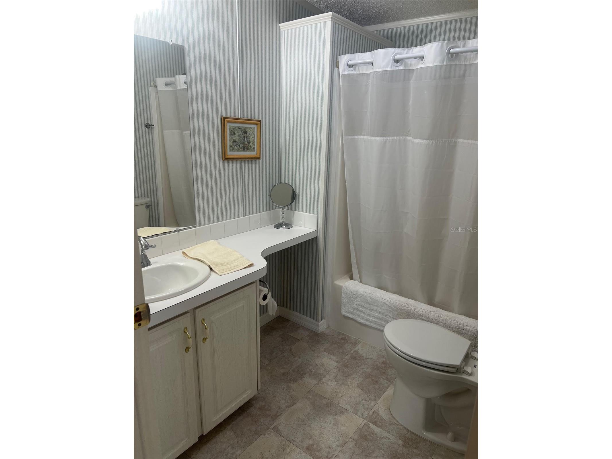 12 Thatch Palm Street W Largo FL 33770 TB8515493 image20