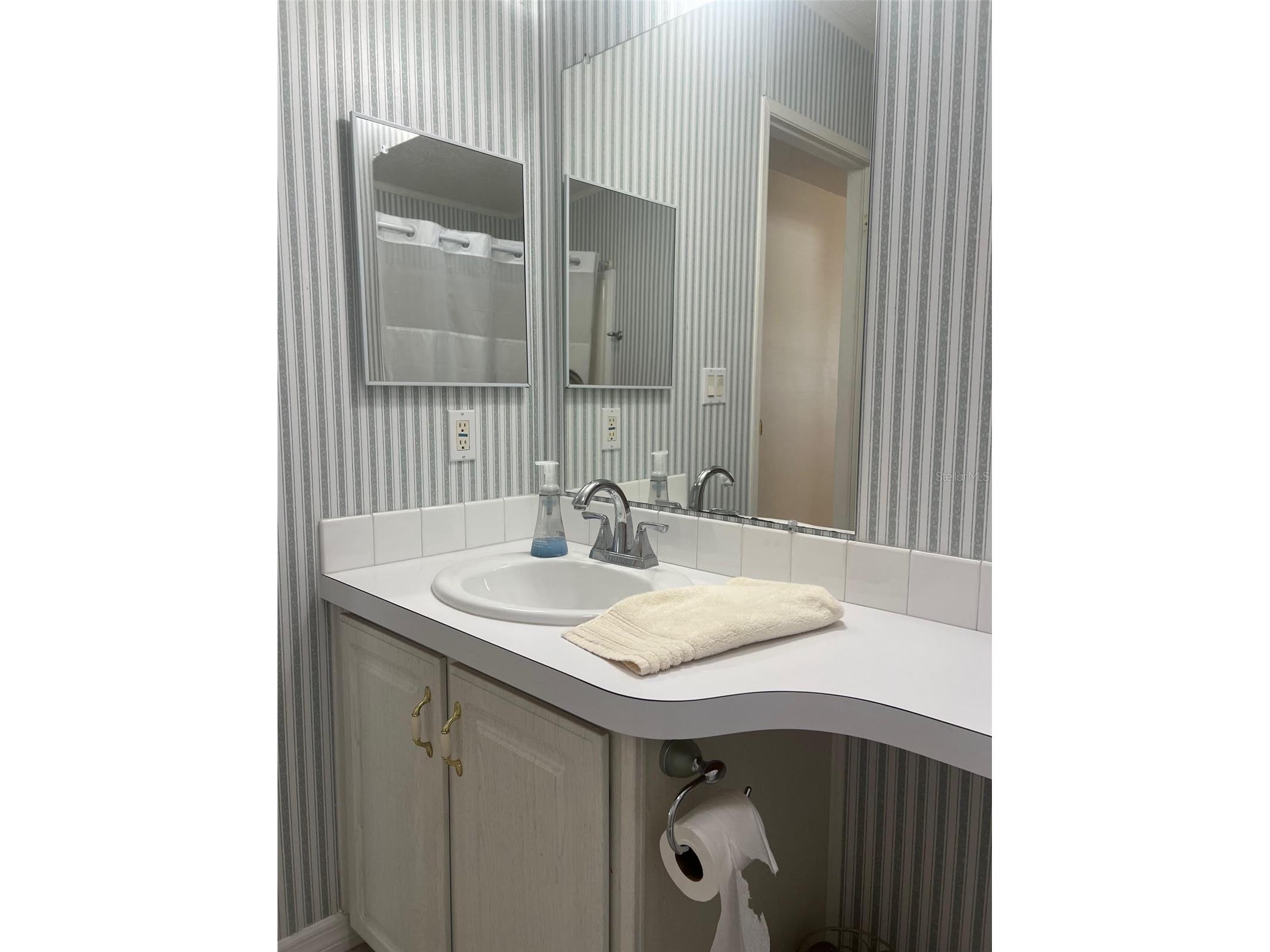 12 Thatch Palm Street W Largo FL 33770 TB8515493 image22