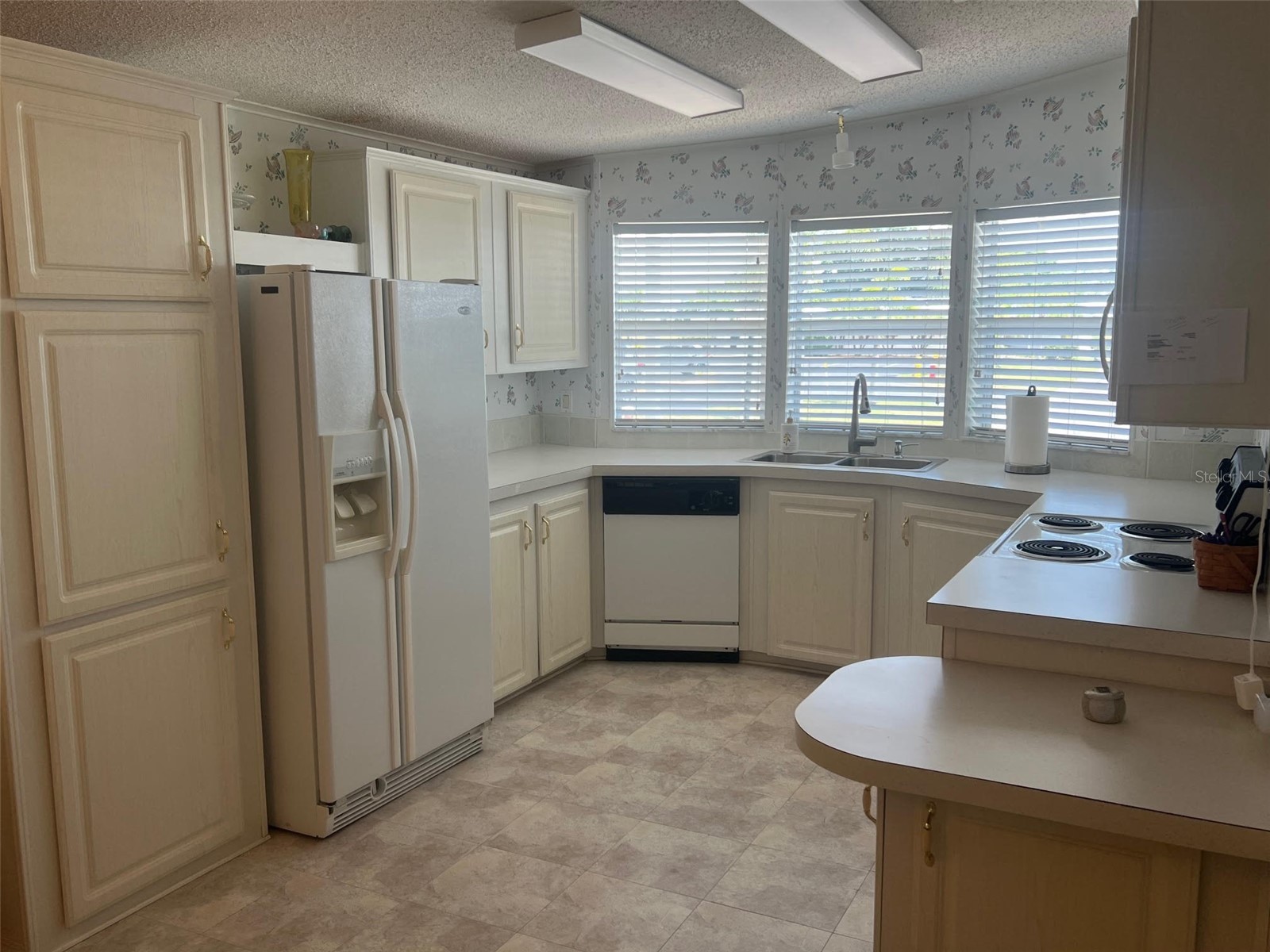 12 Thatch Palm Street W Largo FL 33770 TB8515493 image6