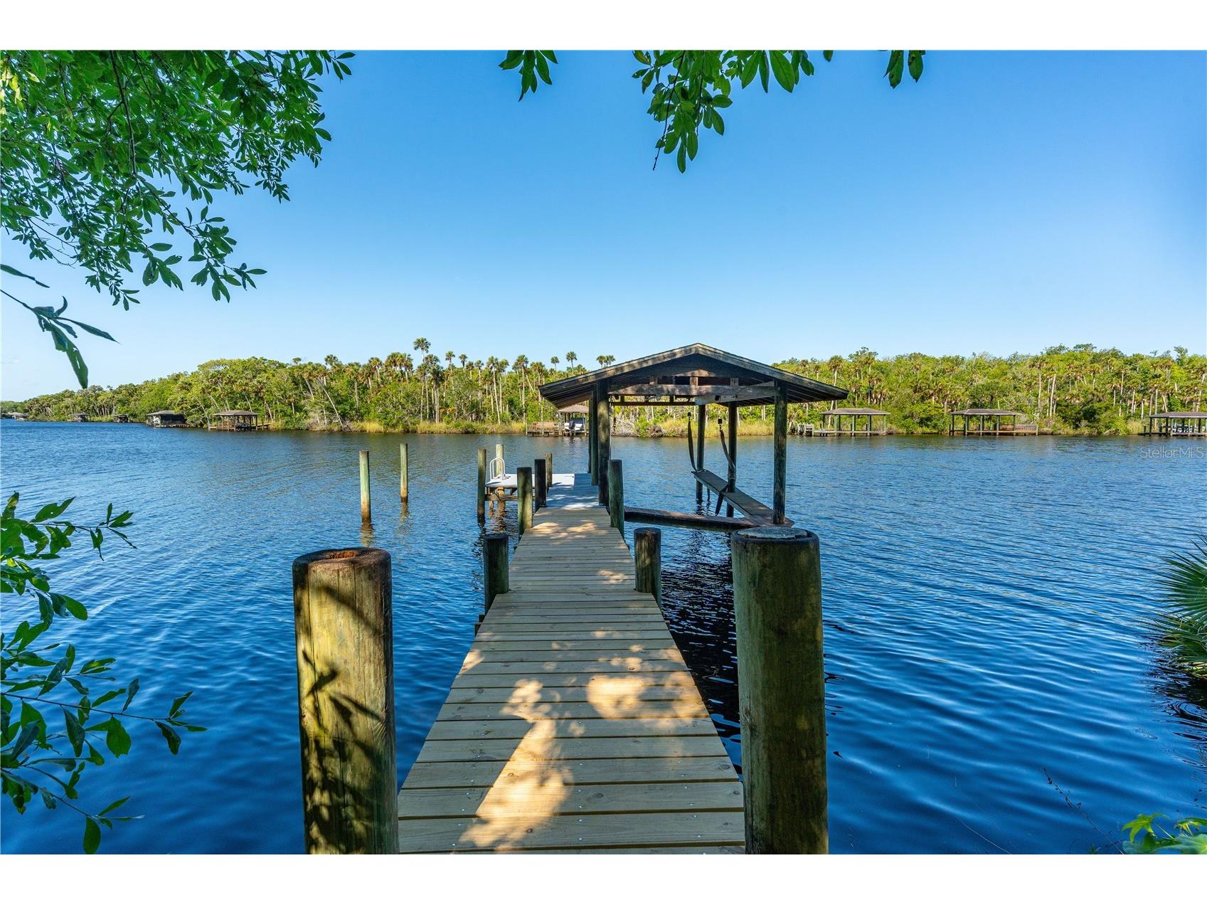 12 Tidewater Drive Ormond Beach FL 32174 V4947861 image5