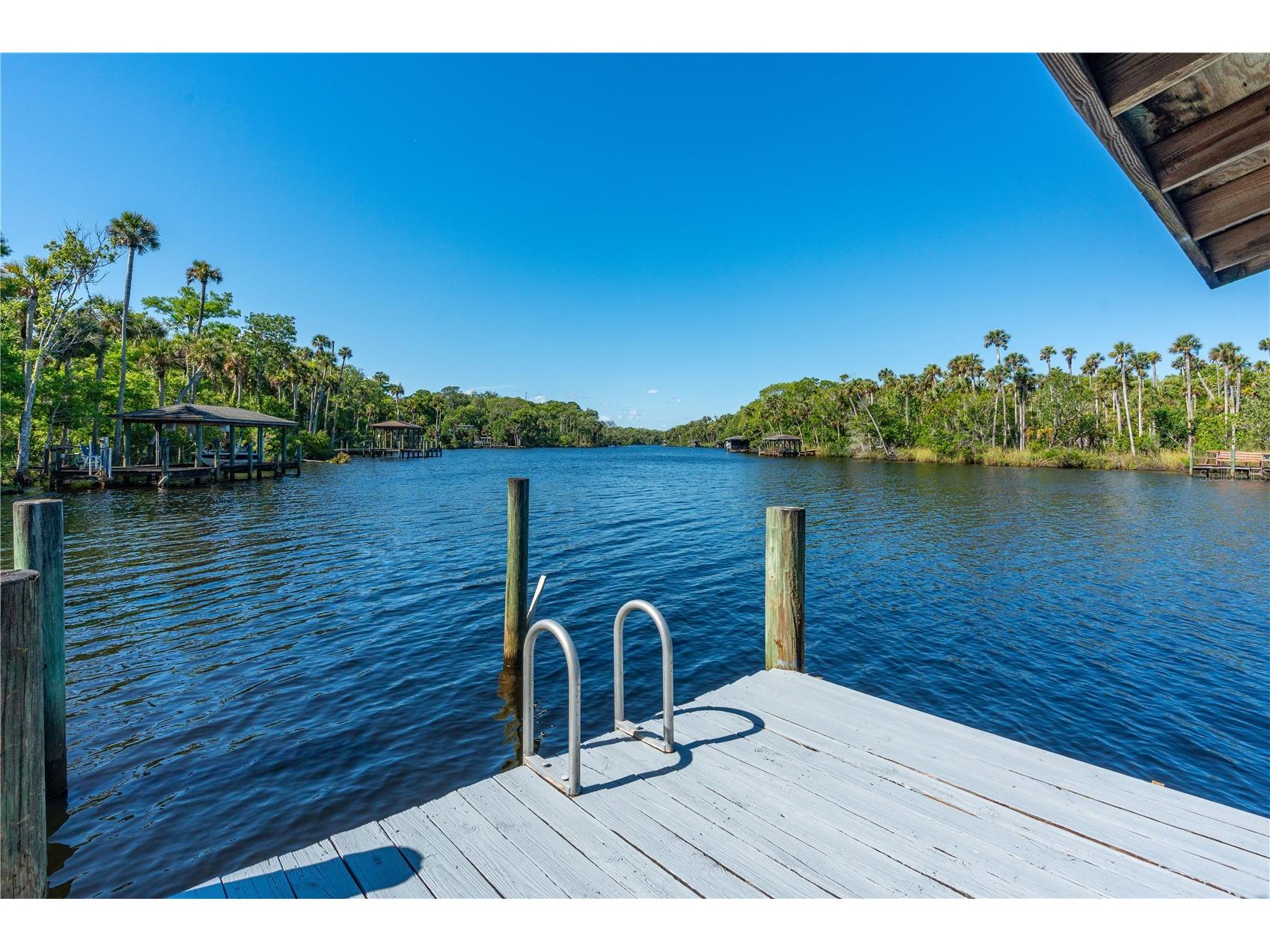 12 Tidewater Drive Ormond Beach FL 32174 V4947861 image6