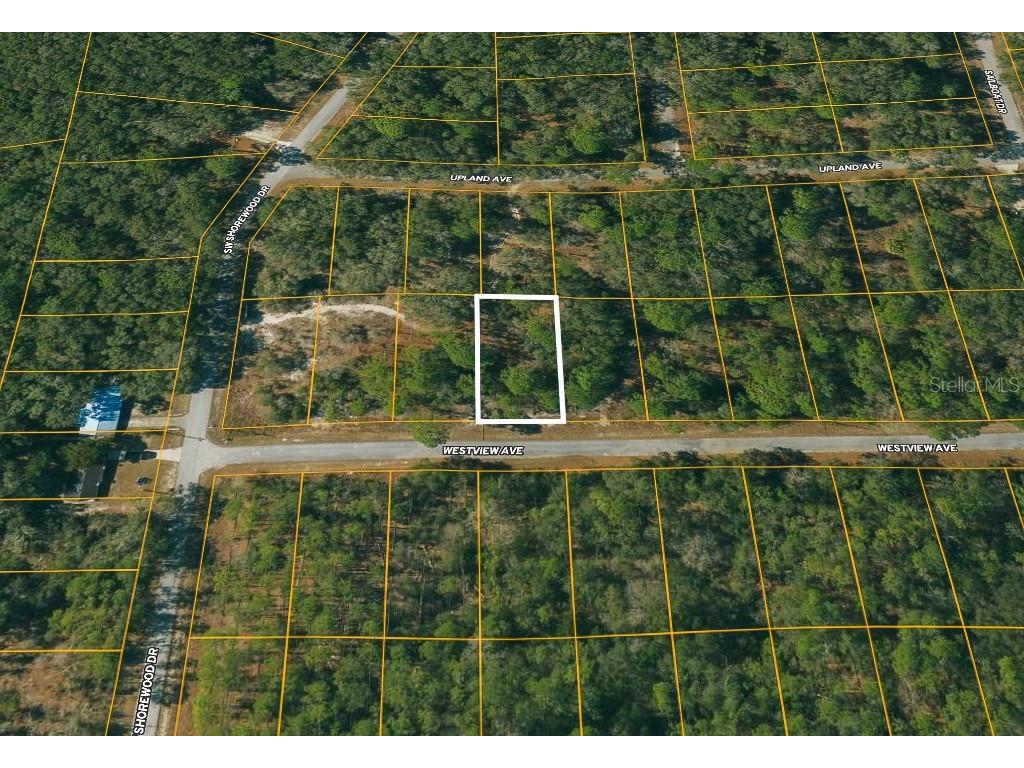 12 Westview Avenue Dunnellon FL 34431 W7867983 image1