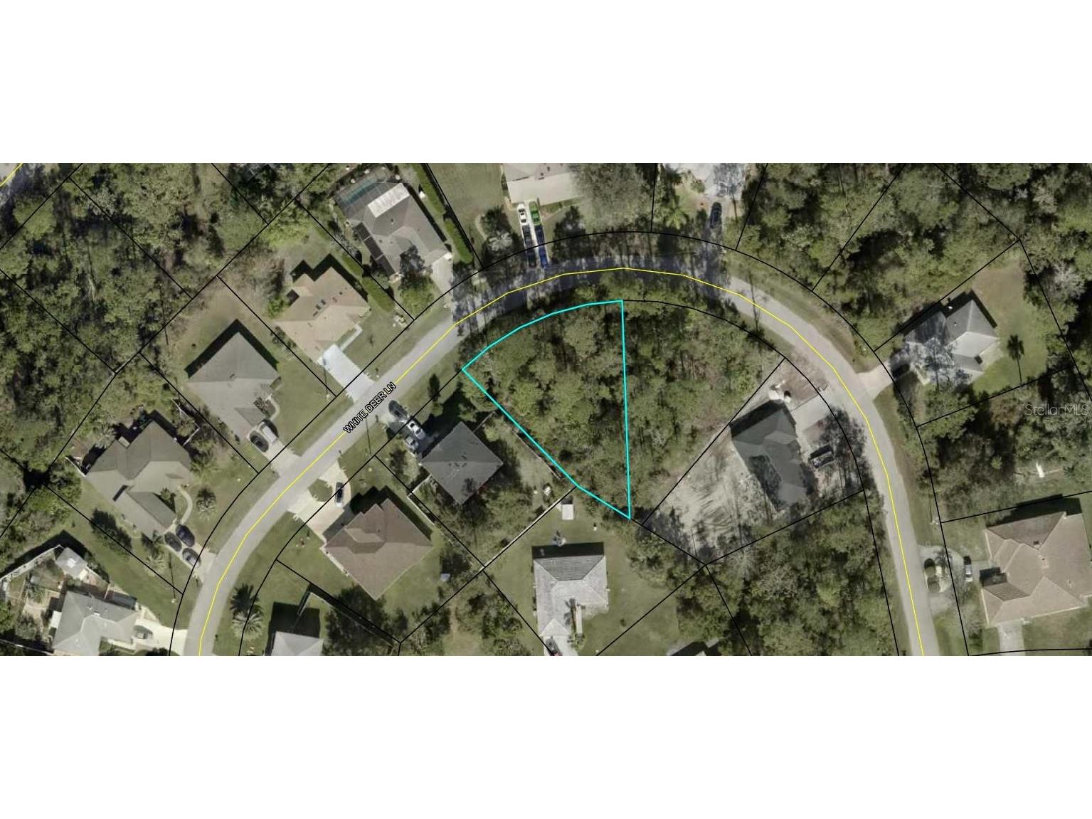 12 White Deer Lane Palm Coast FL 32164 FC300948 image1