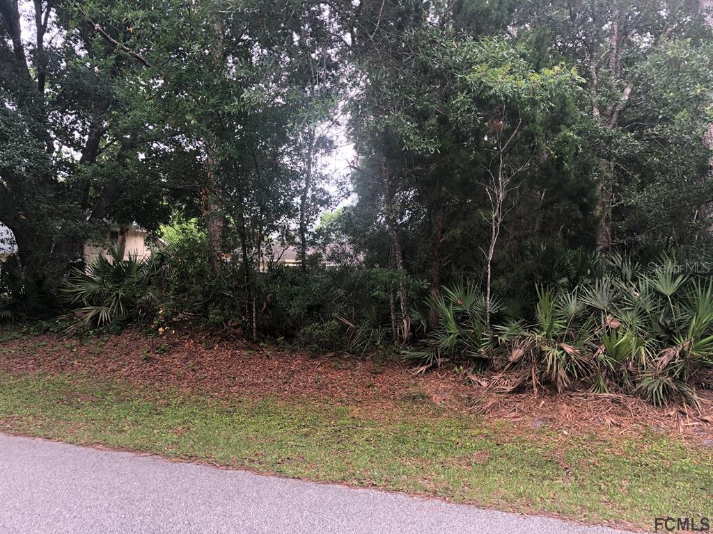 12 White Hall Drive Palm Coast FL 32164 FC279971 image2