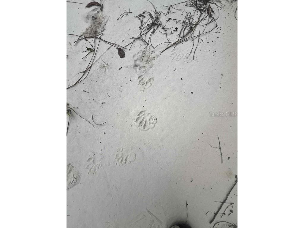 120 & 122 North Carolina Drive Satsuma FL 32189 V4944920 image11