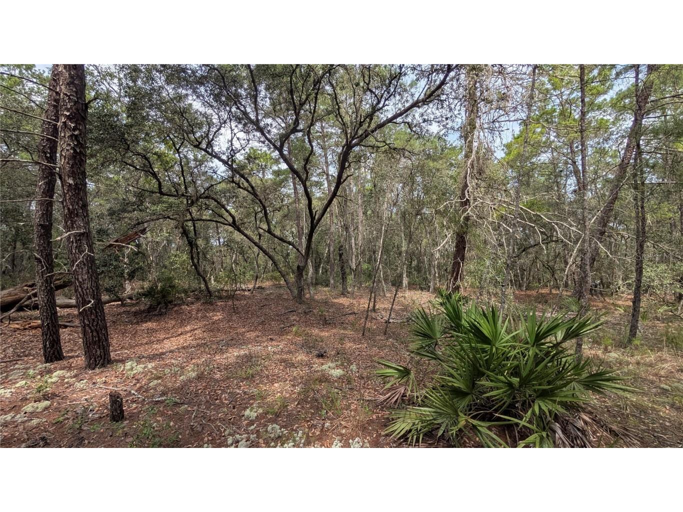 120 & 122 North Carolina Drive Satsuma FL 32189 V4944920 image2