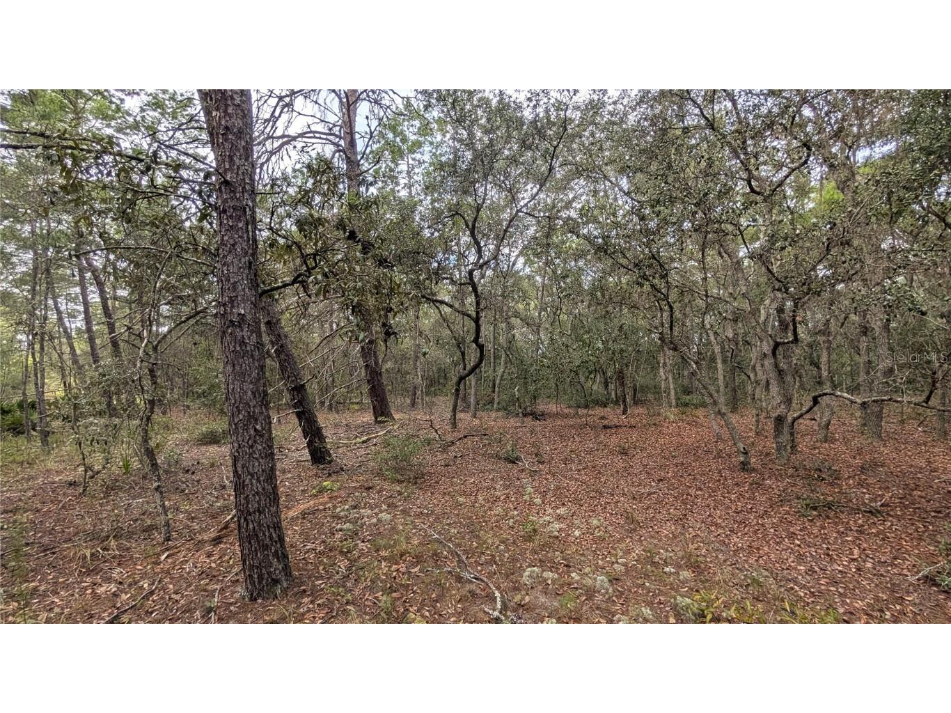 120 & 122 North Carolina Drive Satsuma FL 32189 V4944920 image4