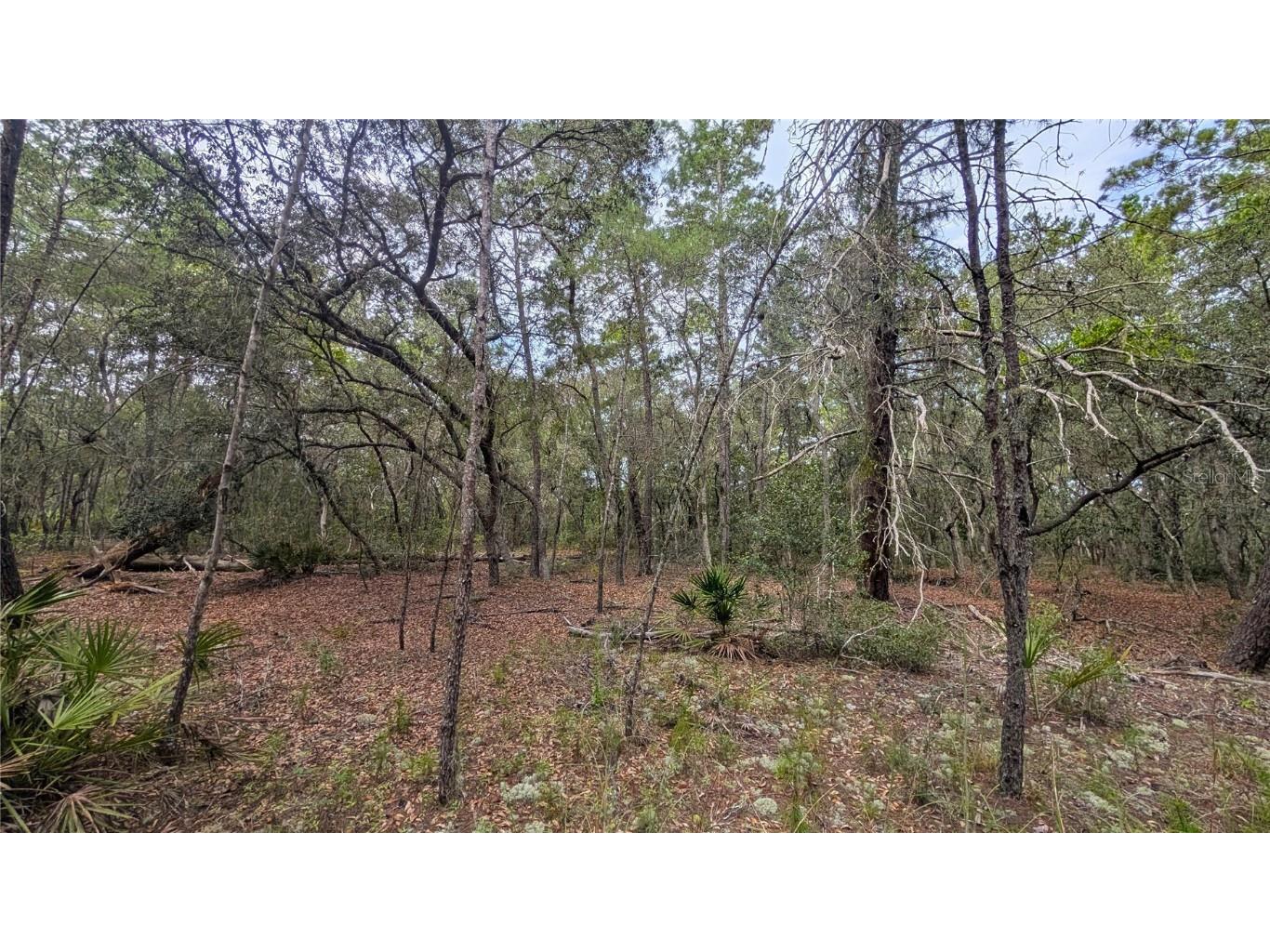 120 & 122 North Carolina Drive Satsuma FL 32189 V4944920 image7