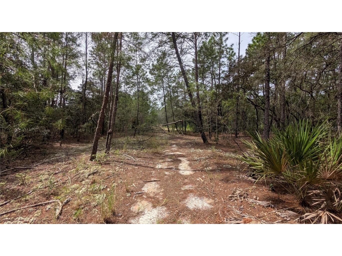 120 & 122 North Carolina Drive Satsuma FL 32189 V4944920 image8