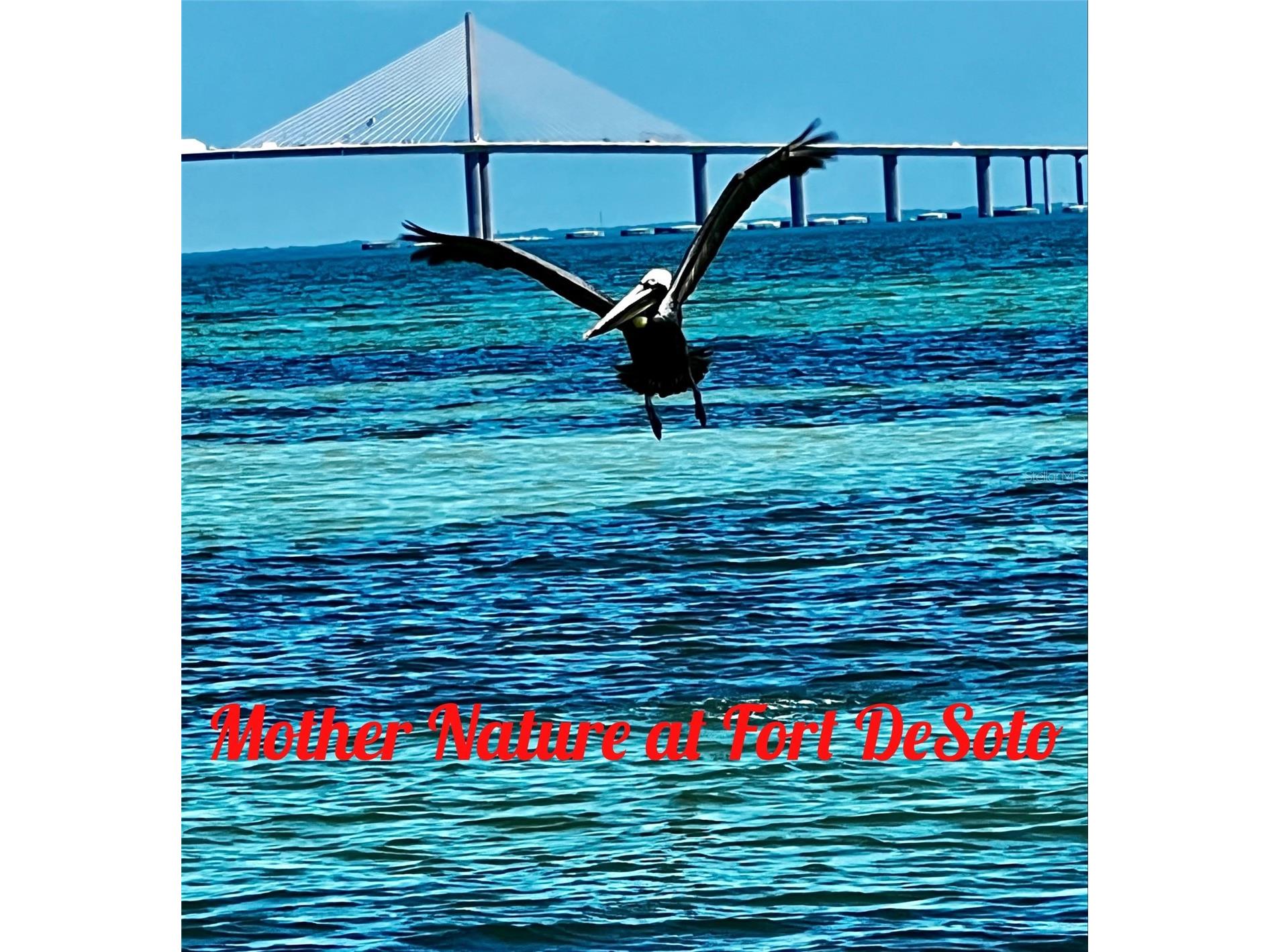120 9th Street E Tierra Verde FL 33715 TB8508419 image71
