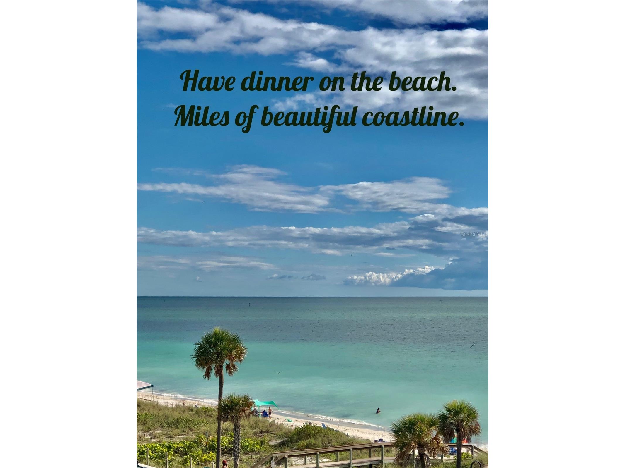 120 9th Street E Tierra Verde FL 33715 TB8508419 image72