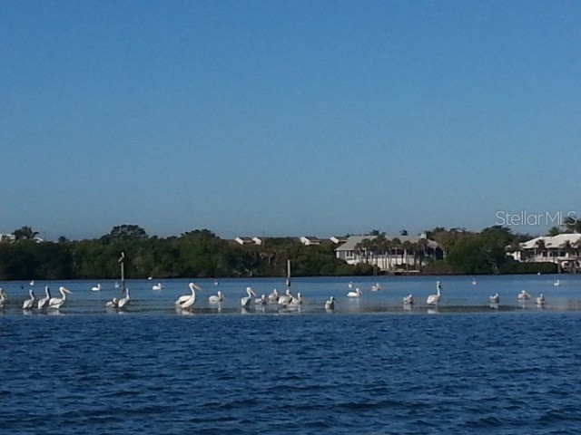 120 Albatross Road Rotonda West FL 33947 D6143380 image10